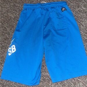 Nike SB Royal Blue Shorts